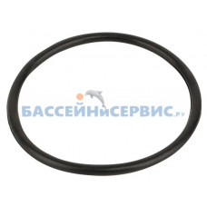 Прокладка шланга гофрированного для фильтра FSP 4W Emaux (02011026)